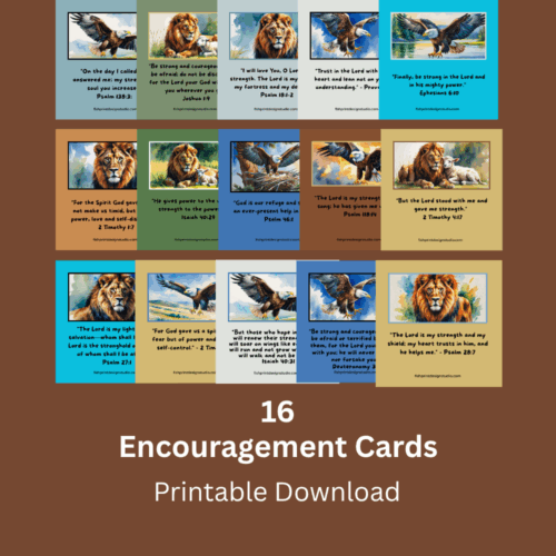 Affirmation Cards Variety Pack
